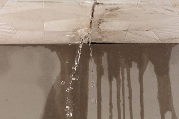 Professional Water Damage Repair technician working in Dodd City, TX